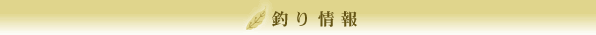 ف@c@-ނ-